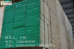 中木商网 一站式木材信息平台助力网络工程建设